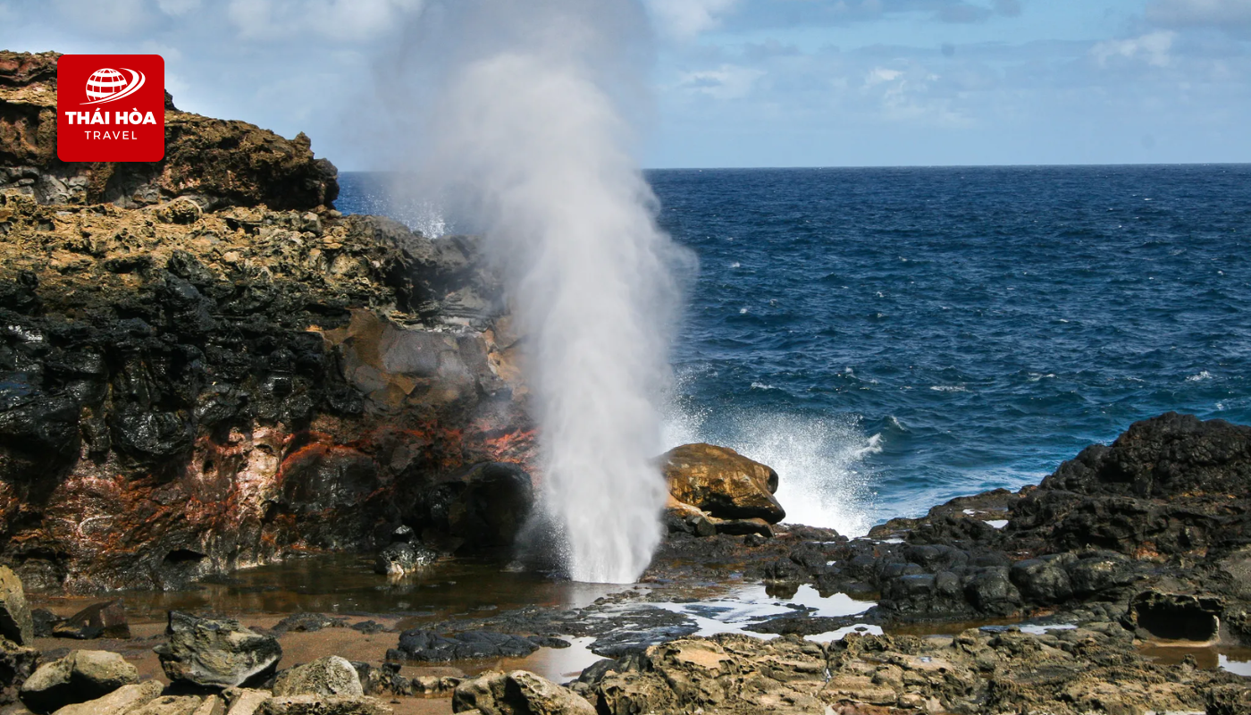 Blowhole