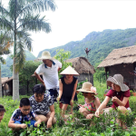 Làng cổ Việt Hải