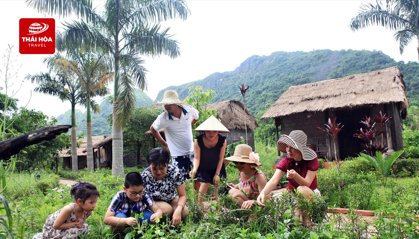 Làng cổ Việt Hải