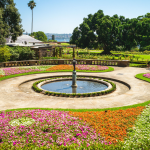 Royal Botanic Garden quy tụ hơn 8.000 loài thực vật quý hiếm