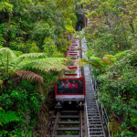 Scenic World