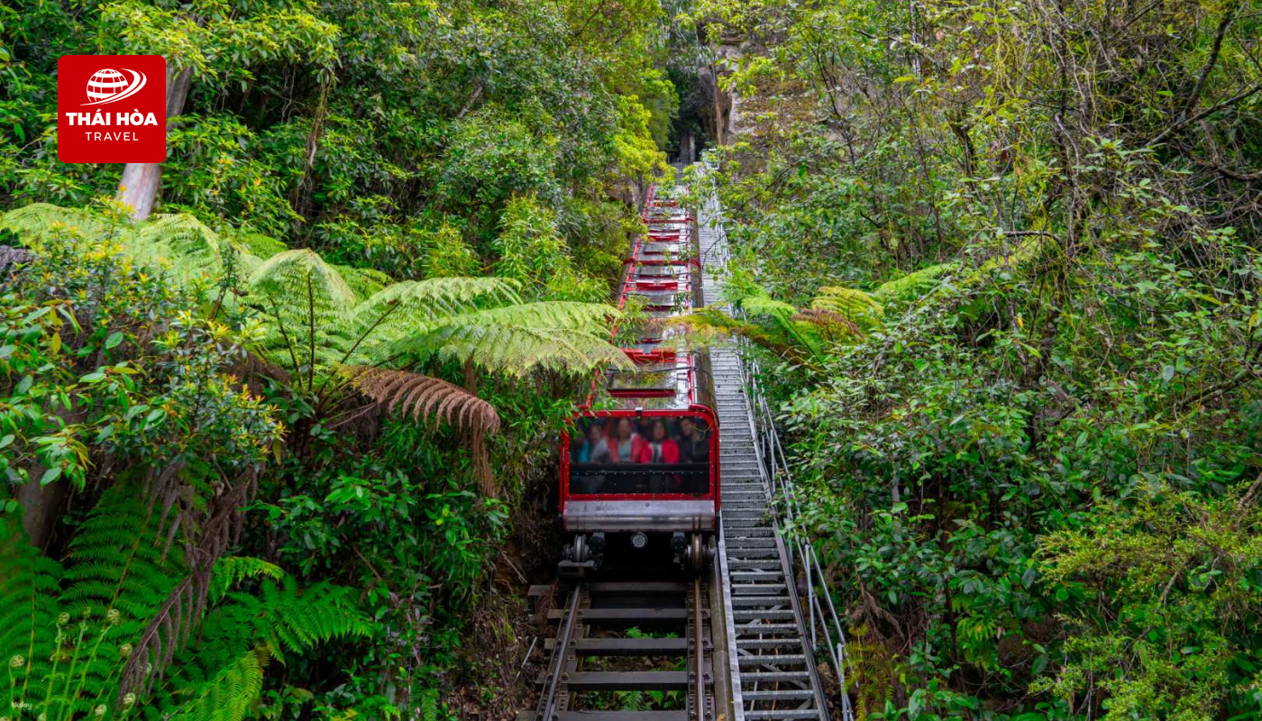 Scenic World