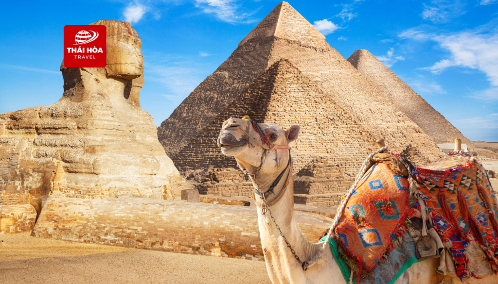 Tour Ai Cập 10N9Đ: Cairo - Aswan - Luxor - Hurghada