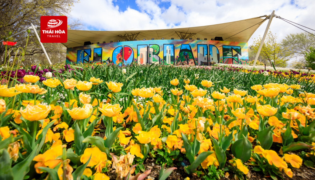 Tour Úc 7N6Đ: Sydney - Canberra - Melbourne - Lễ Hội Hoa Floriade