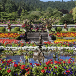 Butchart Gardens: Một trong những khu vườn đẹp nhất thế giới