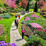 Butchart Gardens