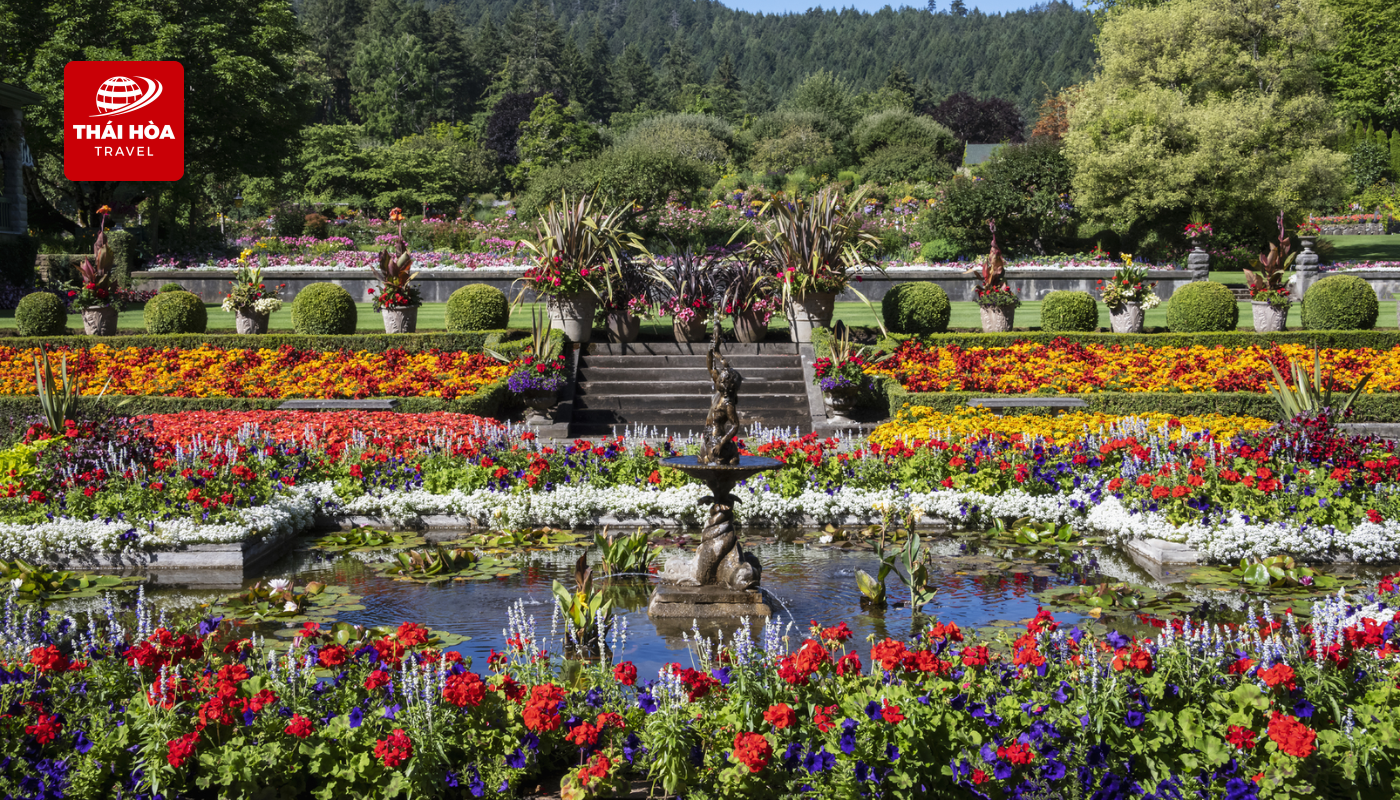 Butchart Gardens: Một trong những khu vườn đẹp nhất thế giới