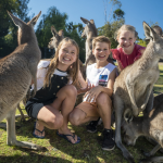 Wildlife Park