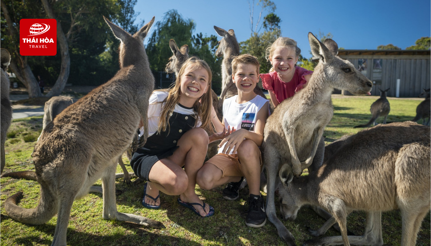 Wildlife Park