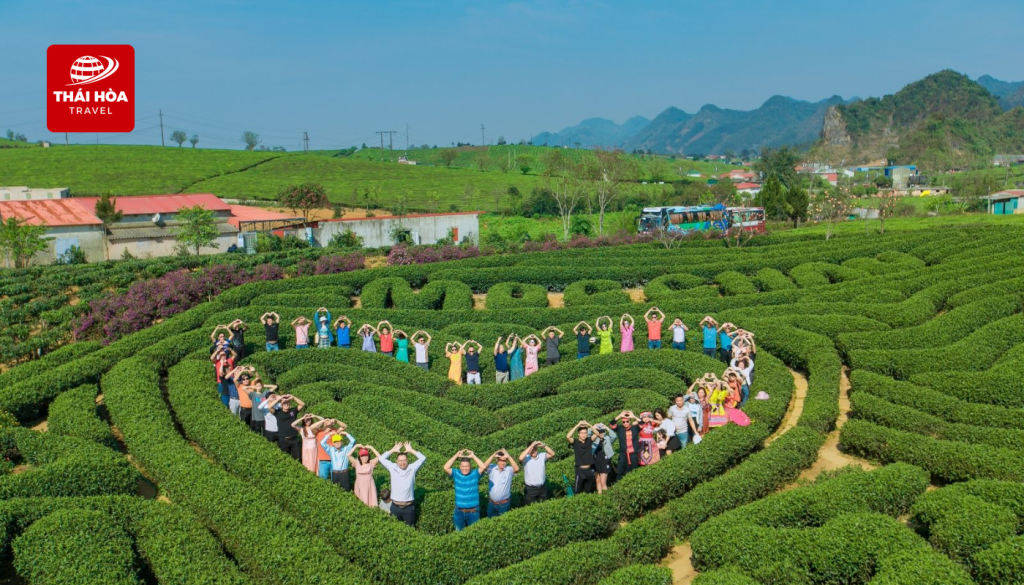 Đồi chè Trái Tim