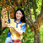 Quý khách có thể tự tay hái thưởng thức các loại trái cây