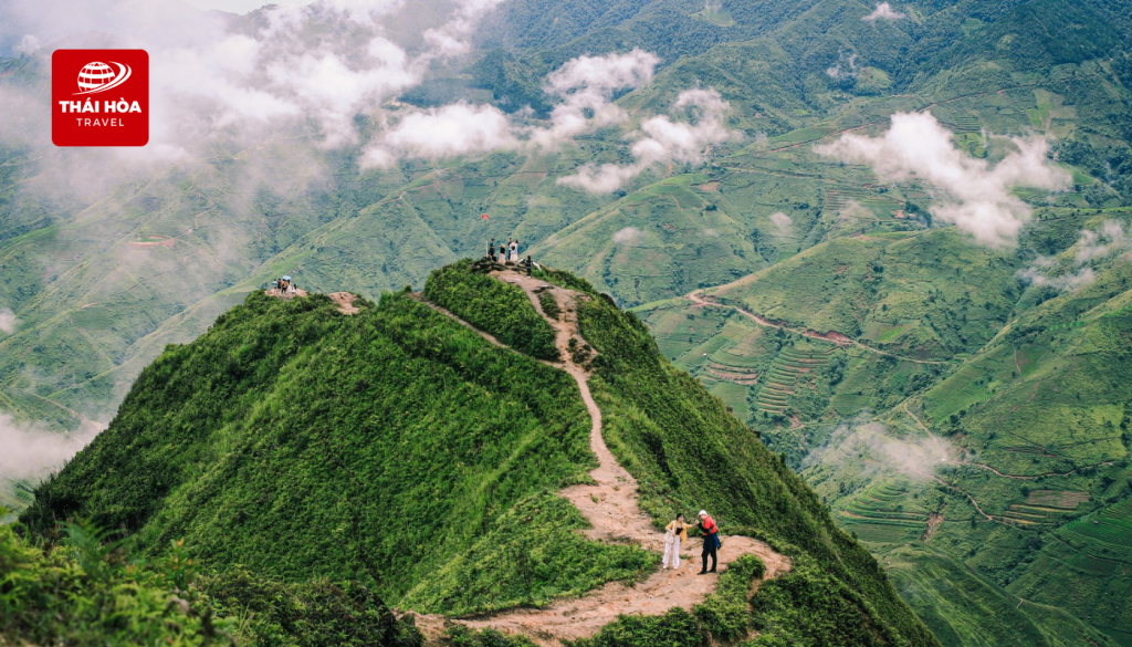 Sống lưng Khủng Long