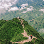Sống lưng Khủng Long