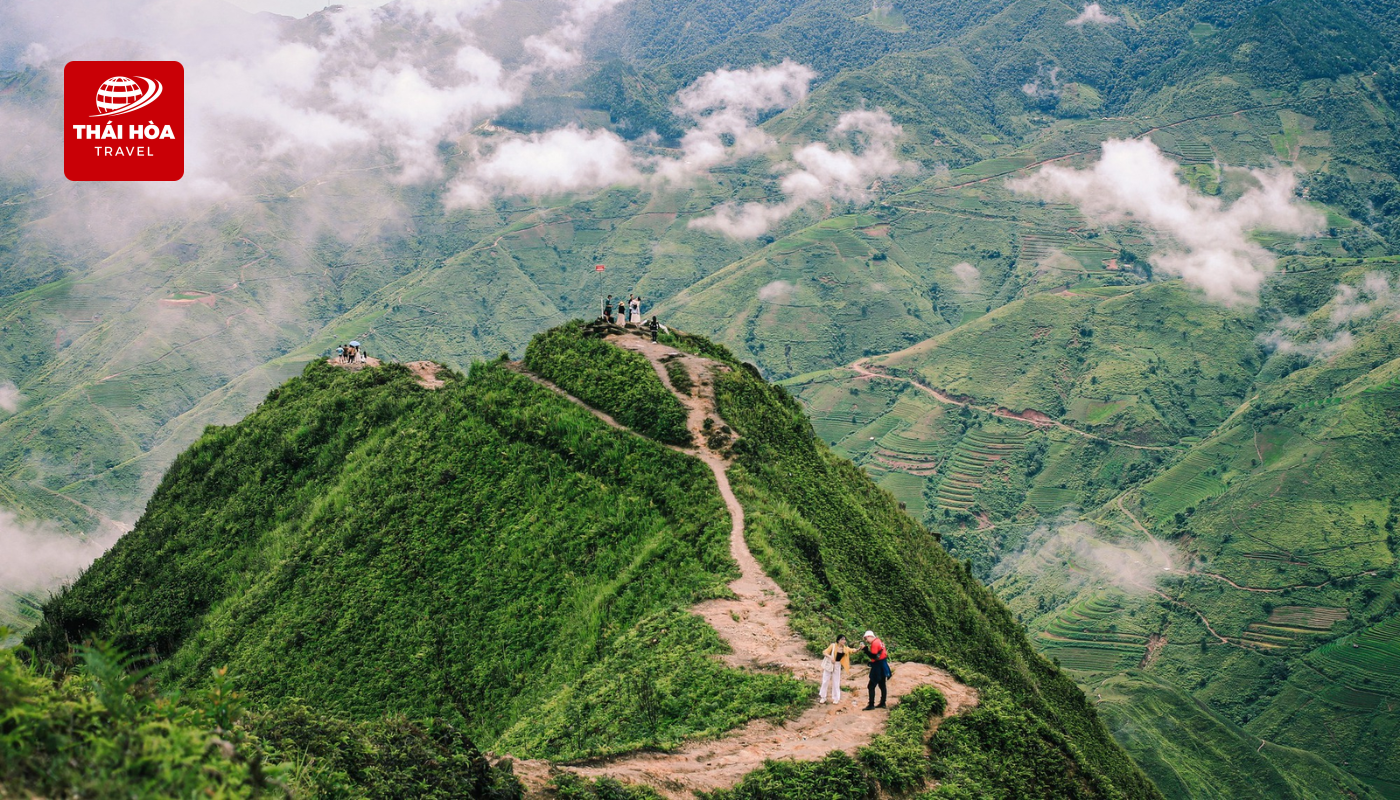 Sống lưng Khủng Long