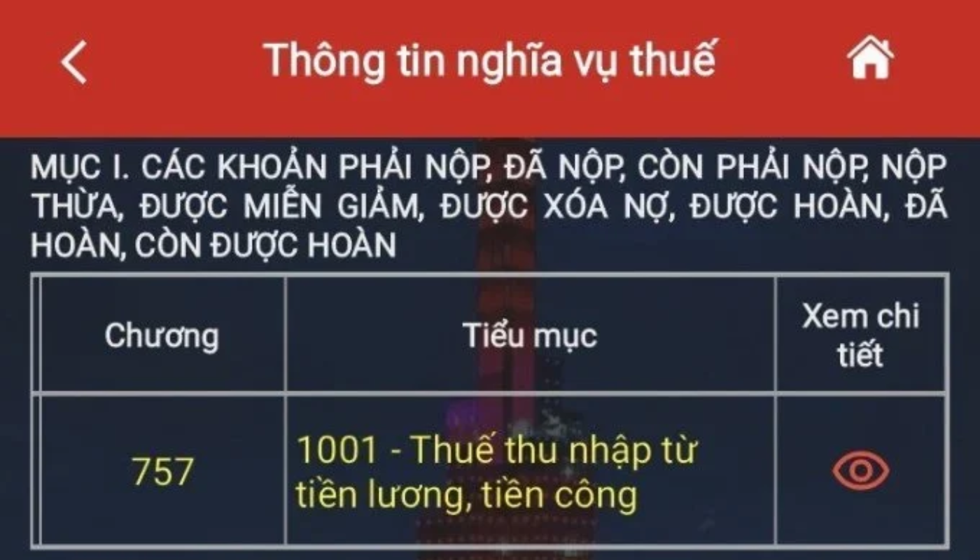 Kết quả hiển thị chi tiết các khoản thuế còn nợ hoặc đã nộp trên ứng dụng