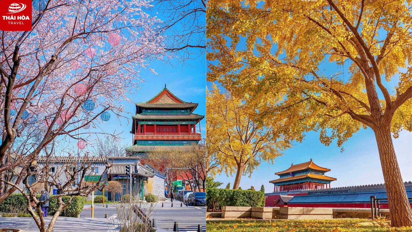 Kinh nghiệm du lịch Bắc Kinh chi tiết cho người mới 2 Khung cảnh của Bắc Kinh vào mùa Xuân và mùa Thu
