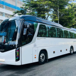 Xe 45 chỗ là lựa chọn dành cho các đoàn lớn từ 40 - 45 người