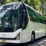 Xe 29 chỗ phù hợp với đoàn khách quy mô vừa