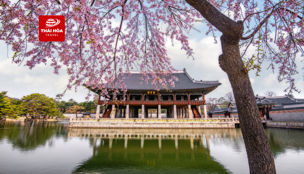 Tour Hàn Quốc 5N5Đ: Busan - Gyeongju - Daegu - Seoul