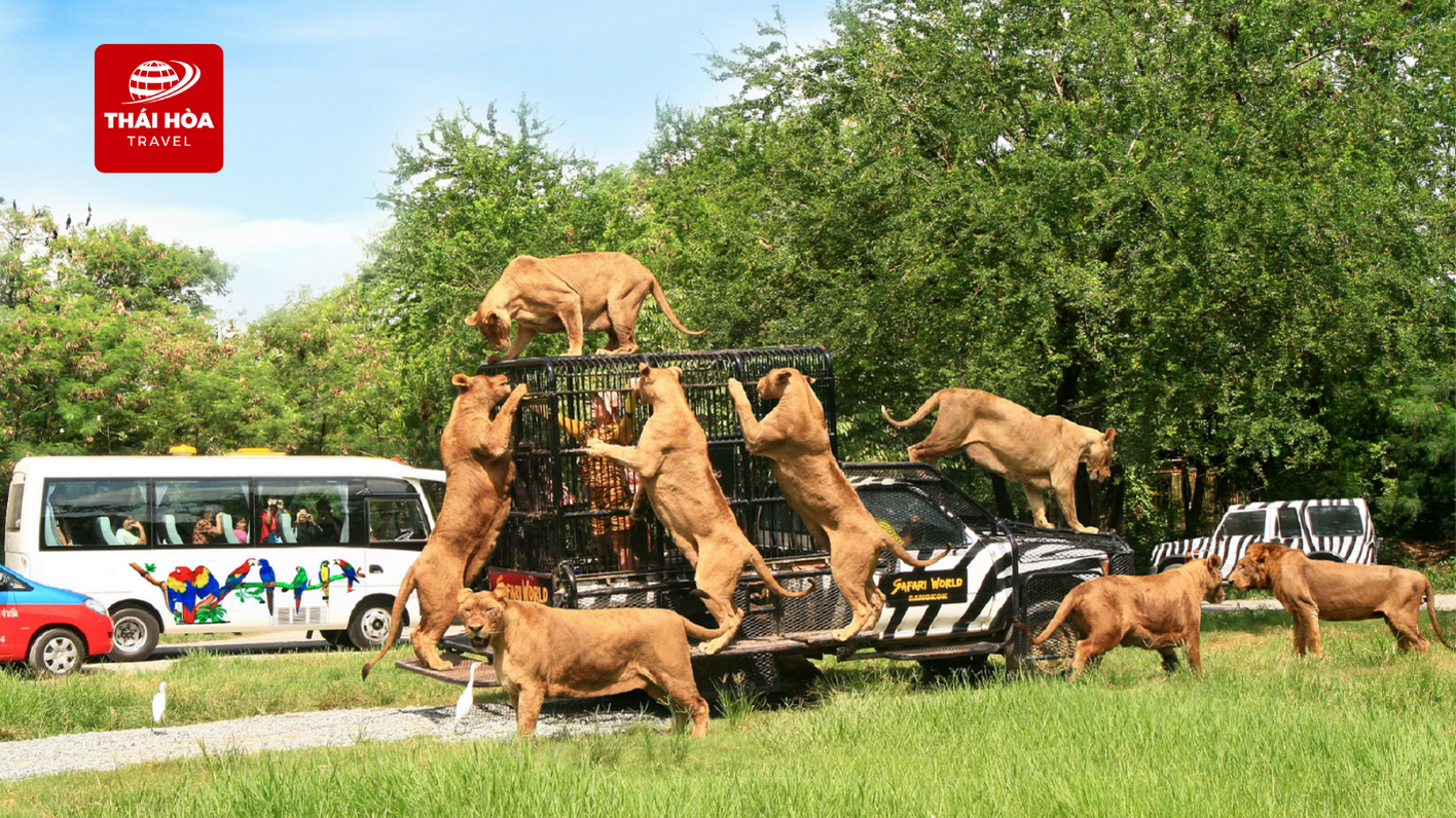 Không gian vườn thú Safari World tại Thái Lan