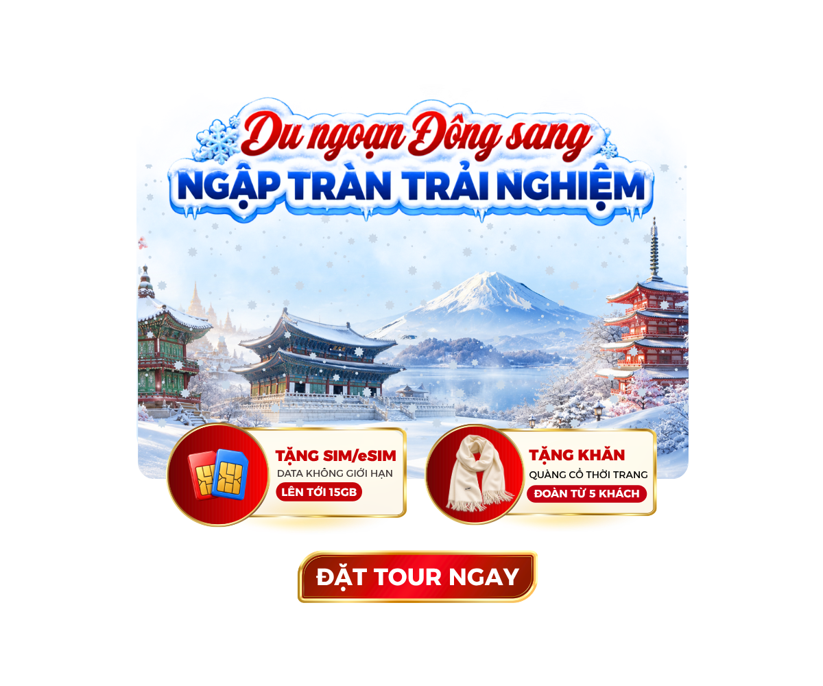 Popup Campaign Thái Hòa Travel